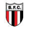 Botafogo Sp Youth logo