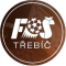 FS Trebic logo