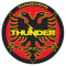 Dandenong Thunder U23 logo