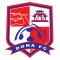 Dong Nai U19 logo