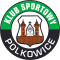 Gornik Polkowice logo