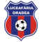 Luceafarul Oradea B logo