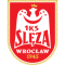 Slezafrotslaw logo