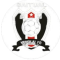 Venglai FC logo