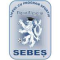 LPS Sebes U19 logo