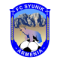 Syunik logo