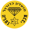 Maccabi Netanya U19 logo