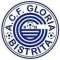 FC Gloria Bistrita logo