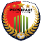 PCB Persipasi logo