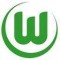 VfL Wolfsburg Youth logo