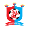 Binh Dinh U19 logo