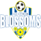 San Antonio Blossoms(w) logo