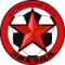 St. Petersburg Red Star logo