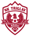 Triglav Kranj logo