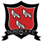 Dundalk U19 logo