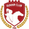 Al-Dumair FC logo