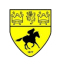 Newmarket Town logo