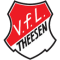 VfL TheesenU19 logo