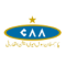 Civil Aviation Authority FC logo