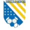 FC Agricola Borcea logo