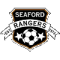 Seaford Rangers Reserves logo