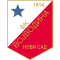 Vojvodina U19 logo