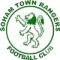 Soham Town Rangers logo