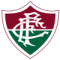 Fluminense-BA  (Youth) logo