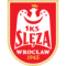 Sleza Wroclaw U19 logo