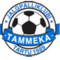 JK Tammeka Tartu U19 B logo