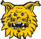 FC Ilves II U20 logo