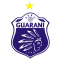 Guarani de Palhoca U20 logo