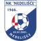 NK Nedelisce logo