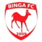 Binga logo