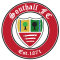 Southall FC logo