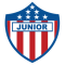 Junior Team U19 logo