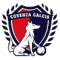 Cosenza Calcio Youth logo