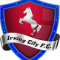 Irving City FC logo