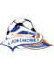 Lokomotiv Gomel logo