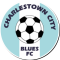 Charleston City Blues logo