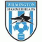 Wilmington Hammerheads logo