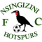 Nsingizini Hotspurs logo