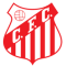 Capivariano FC SP Youth logo