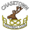 Chasetown logo