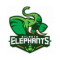 Atlanta Elephants FC logo