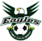 Kamboi Eagles logo