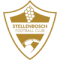 Stellenbosch FC Reserves logo