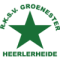 Groene Ster logo