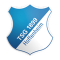 Hoffenheim(w) logo