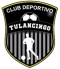 Deportivo Tulancingo logo